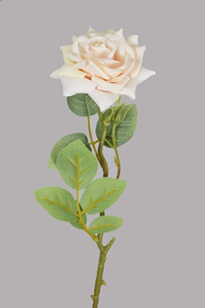 Yapay Çiçek Deposu Отворена розова клонка 43 см Прах