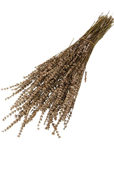 Yapay Çiçek Deposu Şoklanmış Dökülmeye Dayanıklı Gerçek Lavanta Demeti Nature...