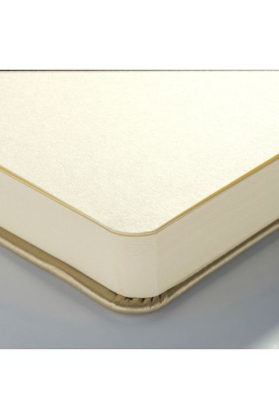 Royal Talens Talens: Hard Cover Sketchbook: 140 Gr: Gold: 9 Cm X 14 Cm