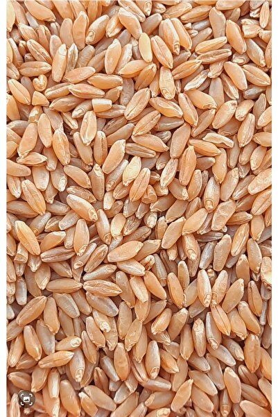 BUĞDAY OVASI Makarnalık Sert Buğday Güvercin ,tavuk, Ördek ,kaz,hindi Yemi 25 Kilo