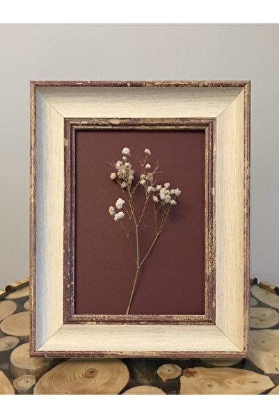 MONEayna Lessy Fotoğraf Çerçevesi 13x18 Cm Eskitme Krem Lsy001