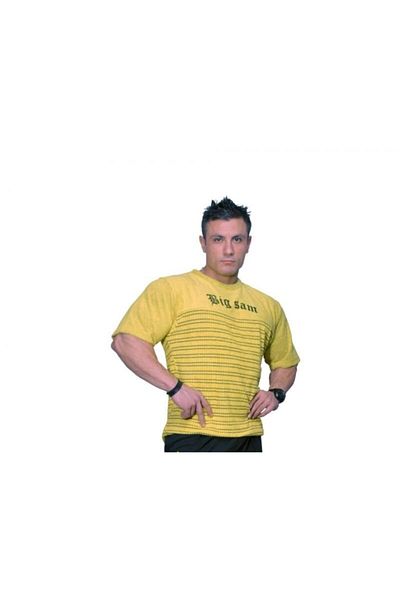 Big Sam Men's T-shirt| Towel Textured, Cotton