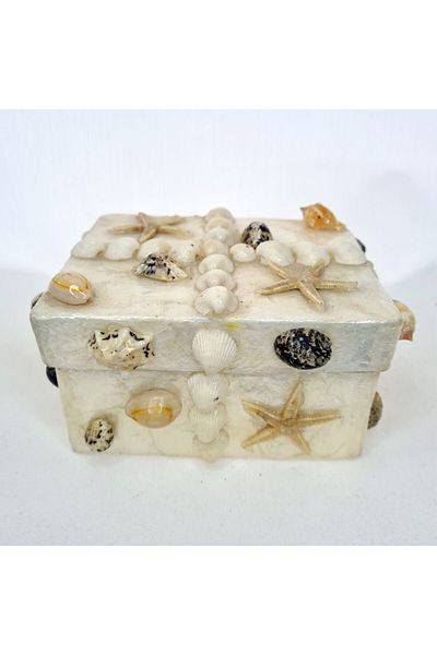 evinizdeki okyanus esintisi turkuaz hediyelik Medium Nacre Box-rectangular-mixed Shell