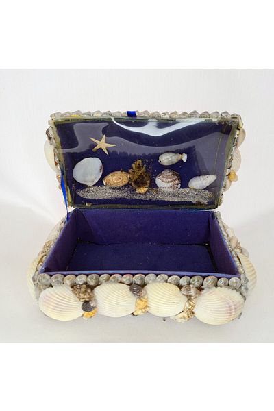 evinizdeki okyanus esintisi turkuaz hediyelik Mini Aquarium Box