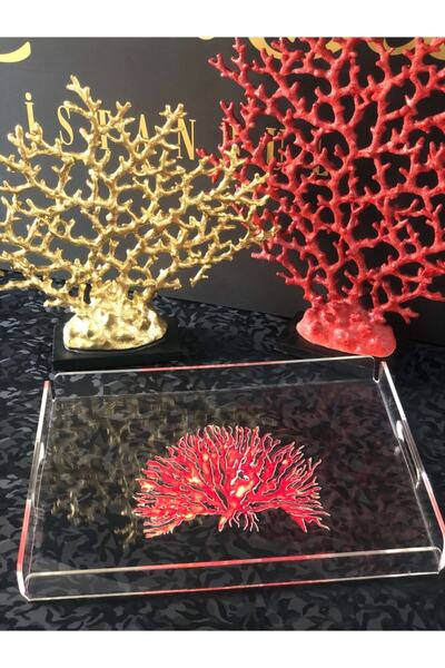Queen Bee İstanbul Belly Coral Patterned 30x40cm Plexiglass Tray