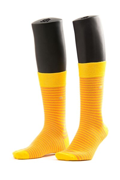 The Socks House جوارب رقيقة منقوشة على شكل دائرة