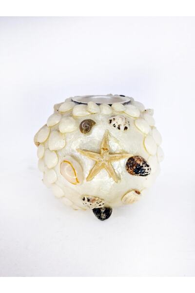 evinizdeki okyanus esintisi turkuaz hediyelik Tealight Mumluk 4"-kabuklu