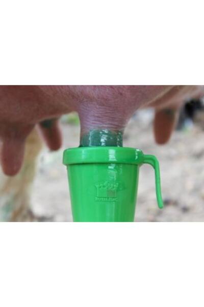 Royal Masdisin Herbafilm Sağım Sonrası Meme Dezenfektanı 5 Litre