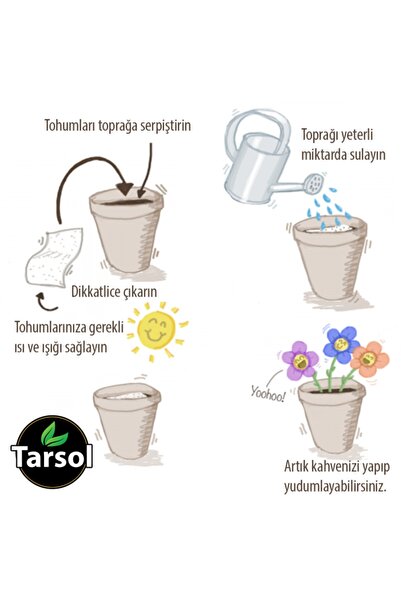 TARSOL TARIM Sofralık Domates Tohumu 30 Adet Toprak Ve Saksı Seti