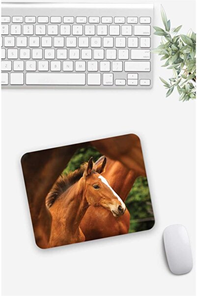 Gizeo Concept Mouse Pad cu model Puppy Thai
