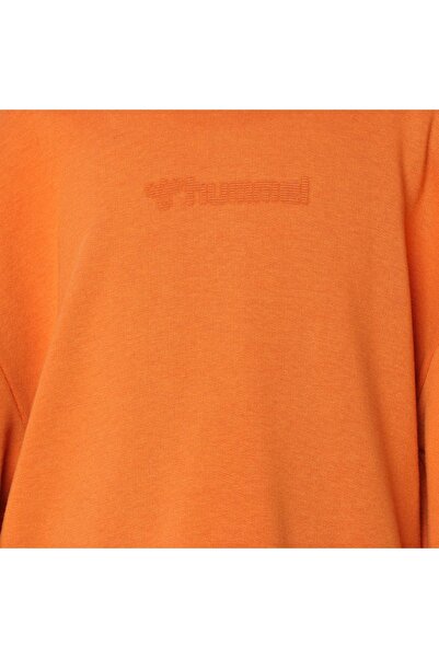 hummel Camıllo Erkek Çocuk Kapüşonlu Sweatshirt 921479-1022
