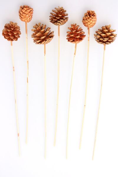 Yapay Çiçek Deposu Χάλκινο με λαβή από μπαμπού από κουκουνάρια πεύκου 7Li