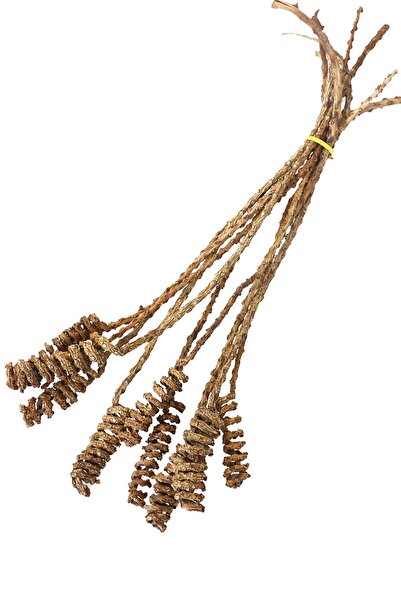 Yapay Çiçek Deposu 10 لو تروبيكال شاني سبرينجس 45 سم