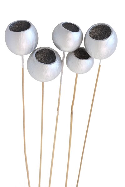 Yapay Çiçek Deposu Διακοσμητικό Κύπελλο Κουδουνιού 5 τεμαχίων Τροπική κολοκύθα Ασημί