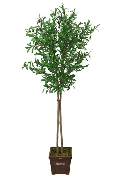 Yapay Çiçek Deposu Saksıda Yapay Zeytin Ağacı Büyük Boy 200 Cm