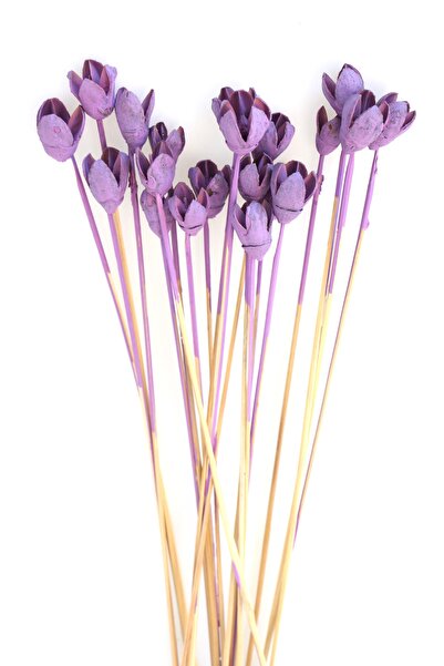 Yapay Çiçek Deposu 20 عبوة باكولي على البخار ريترو بيربل