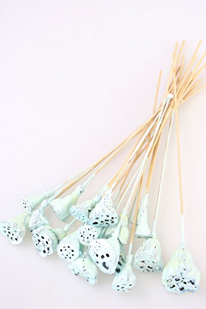 Yapay Çiçek Deposu 20 قطعة من نبات زهرة اللوتس الصغيرة المصنوعة من الخيزران، باللون الأزرق الفاتح (لوتس حقيقي)