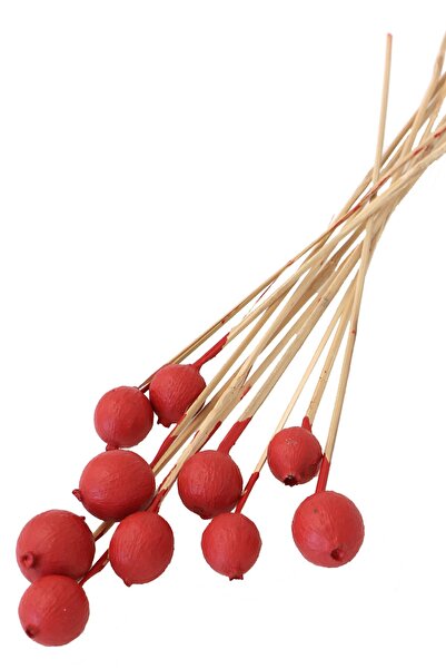 Yapay Çiçek Deposu 10Lu Гаури плод на пара Червен