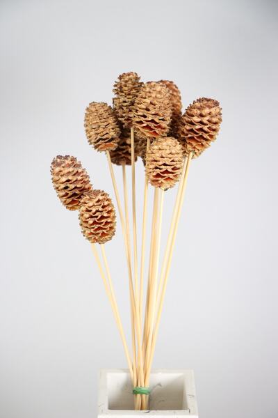 Yapay Çiçek Deposu Kuru Çiçek 10lu Orta Boy Japon Kozalağı