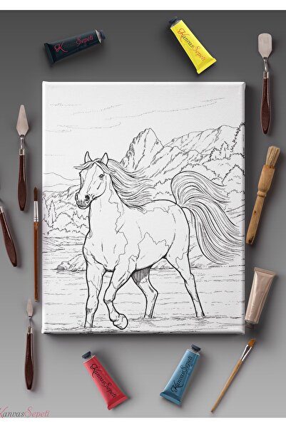 KanvasSepeti 30x20cmtüm Boyama Türlerine Uygun Boyanabilir Tuval Mandala Tablo Çocuklar Için Eğitici Tuval Boyama