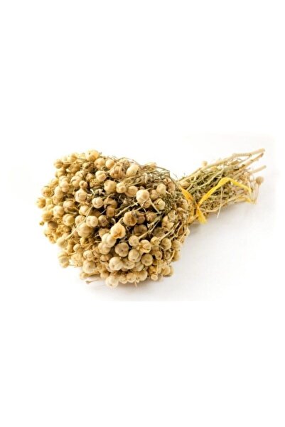 Tohumcumm Üzerlik Tohumu Üzerlik Otu Tohumu Nazarotu Tohumu 25 Adet Tohum