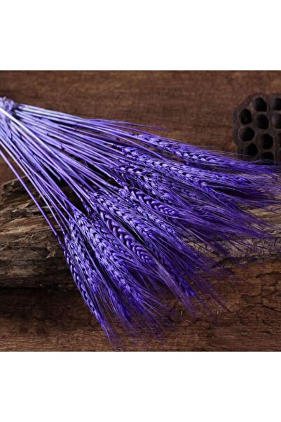 Dry Flower Natural Virgo Purple 25/30 Handle 45cm Length