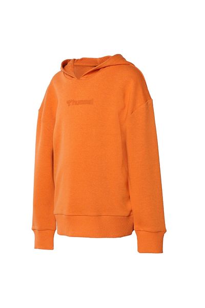 hummel Boy's Hooded Sweatshirt Camillo -921479-1022