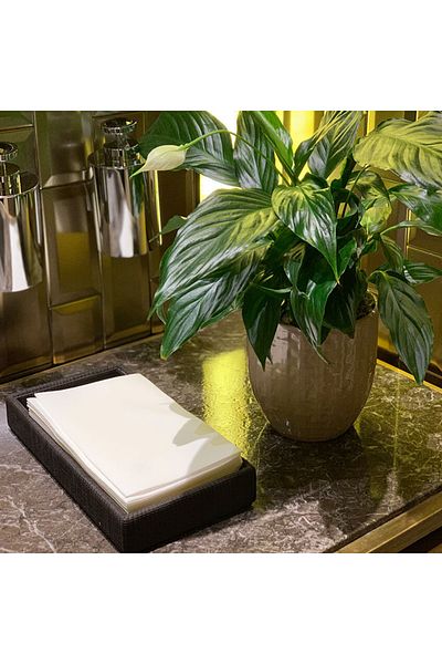 elaia 40 Cm X 24 Cm Arlaid Guest Bath Towel & Service Napkin 50 Pieces