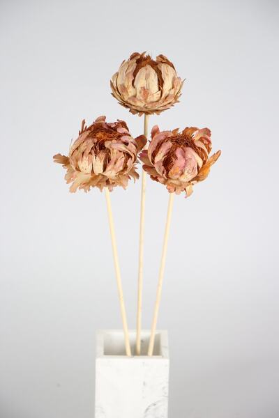 Yapay Çiçek Deposu Kuru Çiçek 3lü Şakayık Gül 42 Cm