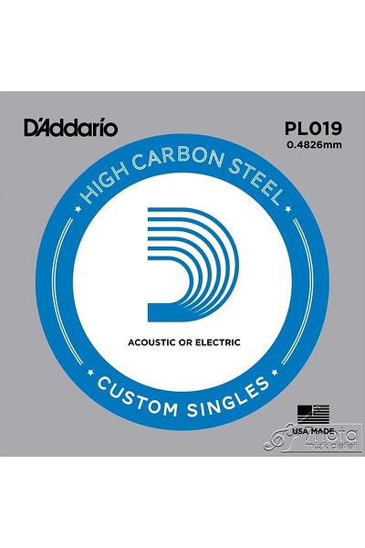 Daddario Pl019 Electro And Acoustic Single Wire Plain Steel 019