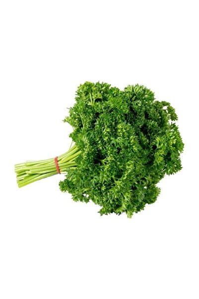 Tohumcumm Kıvırcık Maydonoz Tohumu 250 Adet Tohum Maydanoz Tohumu