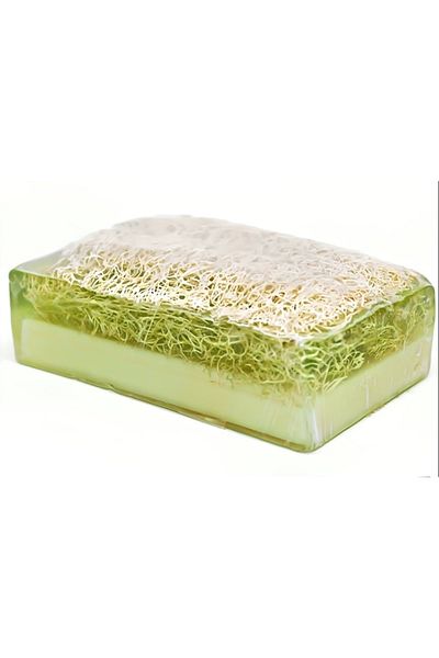 Anatolia Soap Decorative Gift Natural Pumpkin Fiber Aloe Vera Soap 110 gr