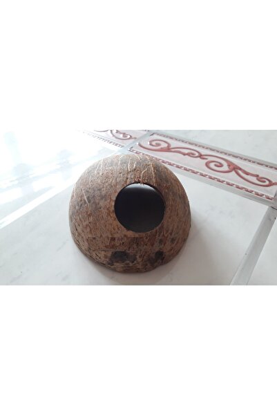 Akvaryum Doğal Dekoratif Hindistan Cevizi Kabuğu Önü Açık Yuvalık Model 1 Adet