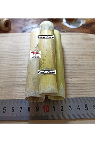 Akvaryum 9 Adet Doğal Bambu Kamış 4-5 Cm Boy Karides - Kerevit Yavru Saklanma...