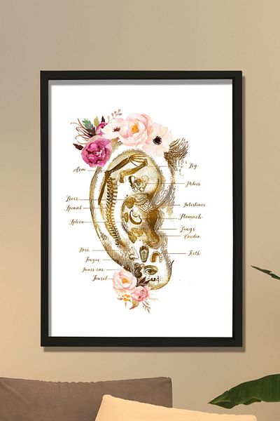 Dekor Loft Schema urechii pentru reflexologie, cadou pentru acupunctură, decor pentru terapeut de masaj