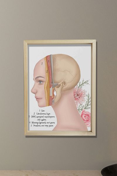 Dekor Loft Straturi cutanate, chirurgie reconstructivă facială, chirurg plastic și estetic, pictură murală pentru camera medicului