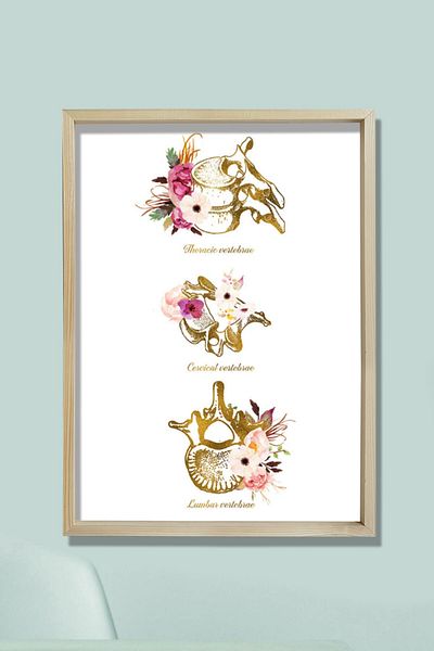 Dekor Loft Vertebra Anatomy Art, cervicală, toracică, lombară, decor chiropractic de birou