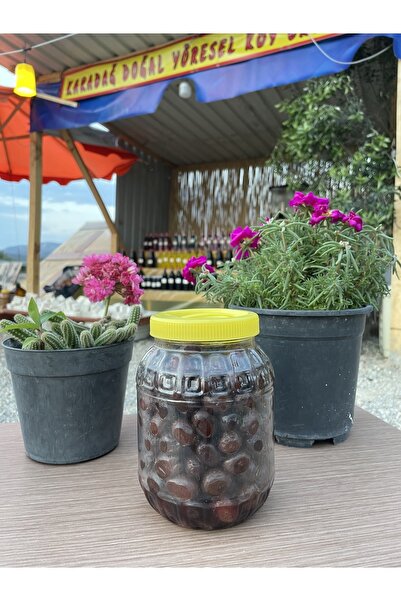 KaradağDoğalÜrünler Salamura Yuvarlama Siyah Zeytin 1 kg