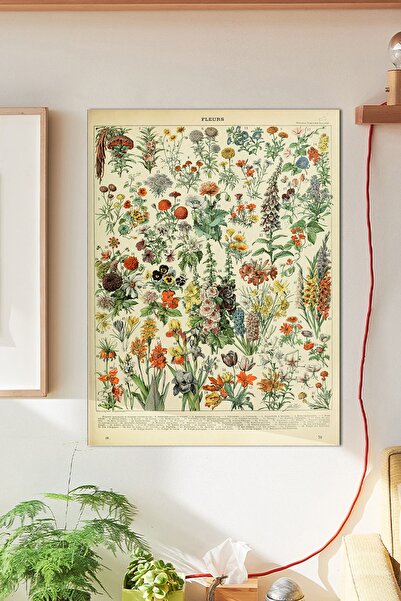 Buka Shops Fleurs Duvar Posteri Büyük Boy 45x30 cm