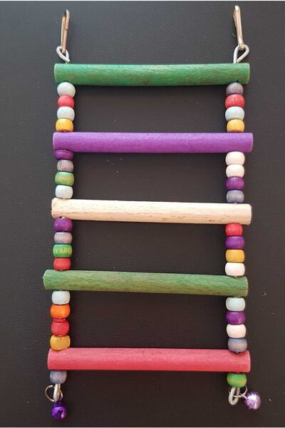 HOBİ Muhabbet Kuşu Merdiven