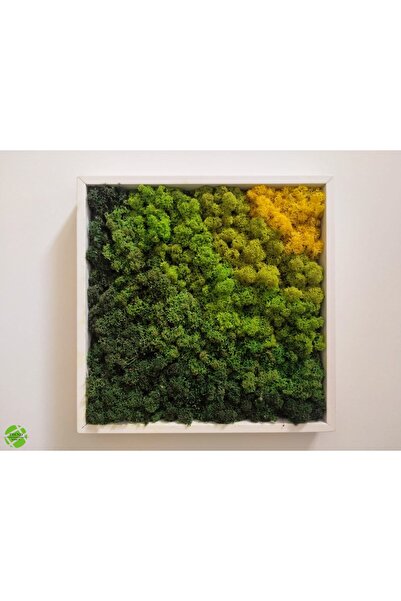 TREND Sunshine Collection - Reindeer Moss Tablo