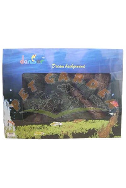 Genel Markalar Dansör Ağaç Köklü Arka Fon