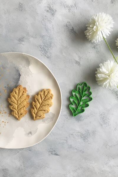 CESTOPİENO تشكيل عجينة ورق البلوط / كوكي / سيراميك / لعبة