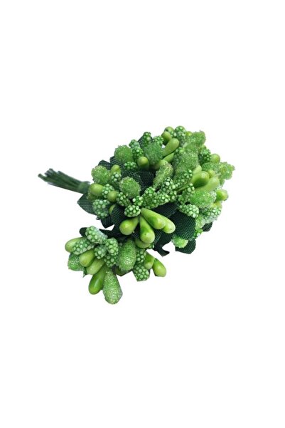 Eminonutoptanci جرو زهرة أكريليك كبير الحجم - 144 قطعة أخضر 8x2 سم