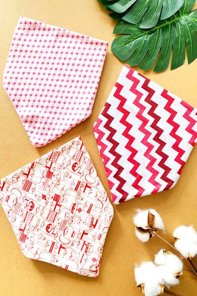 BEBA Organic Red Tones Patterned Newborn 3-Piece Baby Food Drooling Bib with Snap Fasteners