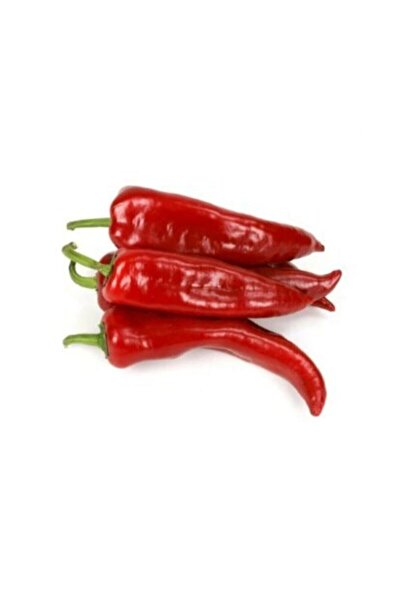 Tohumcumm Adana Karaisalı Hafif Acı Salçalık Biber Tohumu Adana Kapya Biber T...