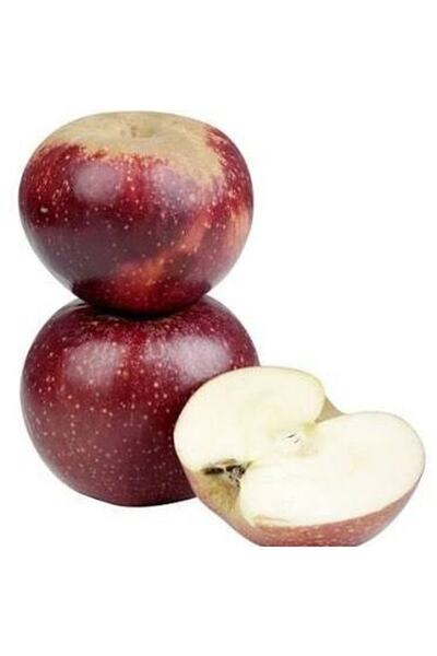 Reyon Bahçe 5 Yaş, Aşılı Elma Fidanı Arap Kızı, Torbada , +130cm