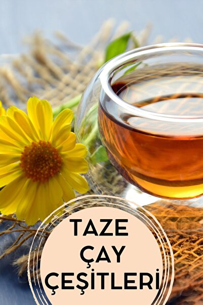 Eaktariye Ekinezya 100 Gr