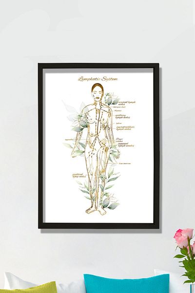 Dekor Loft Artă sistemului limfatic, decor endocrinologie, artă anatomie noduri limfă, cadou doctor