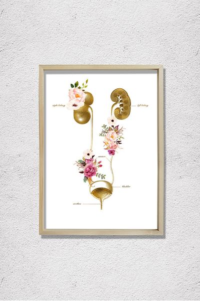 Dekor Loft Sistemul urinar, Artă anatomiei tractului urinar, Decor de birou pentru nefrologie